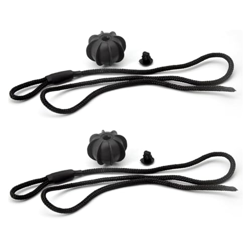 jfqm Hinten Hutablage Gurt String Cord Fit for Skoda Octavia A5 A7 1Z 5E Fit for Superb 3T 3V Fit for Fabia MK1 MK2 MK3 Fit for Rapid Fit for Yeti Fit for Scala Fit for Roomster 5J NJ (Color : 2pcs) von NinWelly