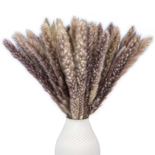 Pampasgras Braun Groß und Klein | Trockenblumen Deko braun getrocknet für Wohnzimmer & Flur | Boho Trockenblumenstrauß | Getrocknete Gräser, Kunstblumen & Pampas für Vase | Aesthetic Braune Deko von Nina-Maria's Deko Gold