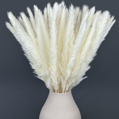 Pampasgras Weiß Groß und Klein | Trockenblumen Deko Weiss getrockent für Wohnzimmer & Flur | Boho Trockenblumenstrauß | Getrocknete Gräser, Kunstblumen & Pampas für Vase | Aesthetic Weiße Deko von Nina-Maria's Deko Gold