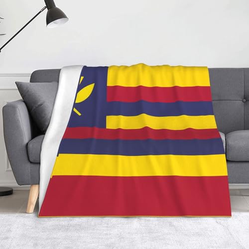 Ninainaid Bedruckte Decke mit Flagge des Königreichs Hawaii, weich und leicht, plüschig und flauschig, luxuriös und bequem, Herbstdecke, Heimdekorationsgeschenk. von Ninainaid