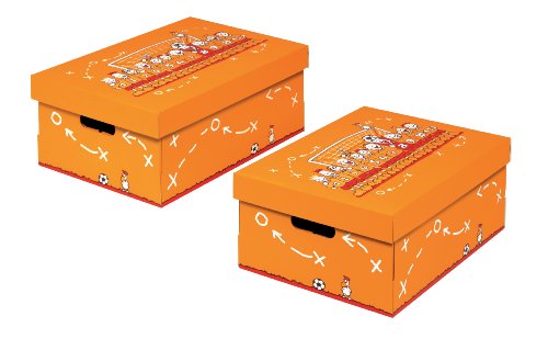 NIPS 119271350 CHAMPION Aufbewahrungsbox mit Deckel, B 32,0 x T 45,5 x H 19,0 cm, 2er Packung, mehrfarbig von Nips