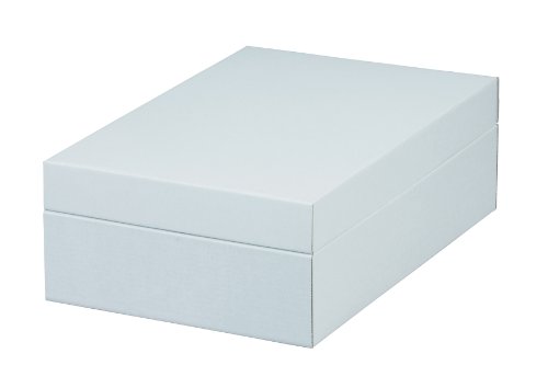 NIPS 165204102 PREMIUM MEDIUM Aufbewahrungsbox mit Deckel, B 55,0 x T 37,0 x H 18,5 cm, weiß von Nips