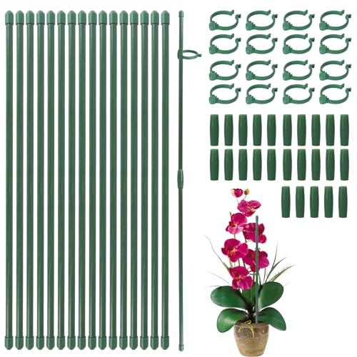 Niuoppy Pflanzenstützstäbe, 30 Stück 30 cm Gartenblumenstäbe mit Clips, Rankenstützbefestigung, Orchideenstäbe und Clips, Pflanzenstäbe zur Unterstützung von Blumenorchideen, Erbsen, Gemüse, Gartenp von Niuoppy