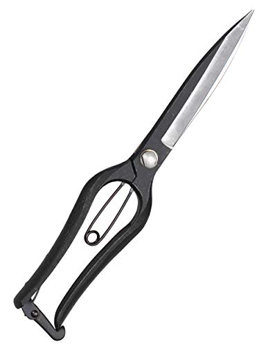 Niwaki Sentei Formschnittschere Niwaki Sentei Formschnittschere von Niwaki