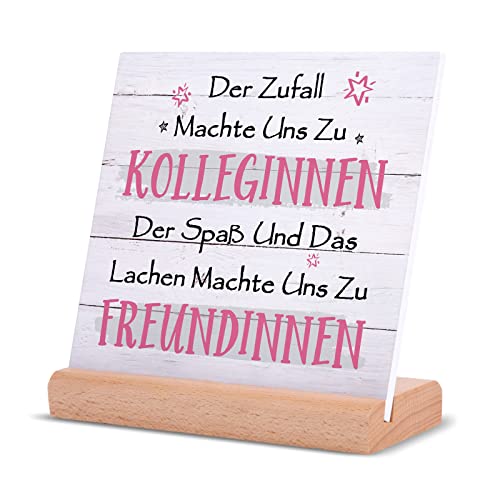 Niyewsor Geschenk für Kolleginnen & Freundinnen, Geschenk Kollegin Freundin, Geschenk für Lieblingskollegin, Beste Kollegen Geschenk, Abschiedsgeschenk Kollegen Jobwechsel von Niyewsor