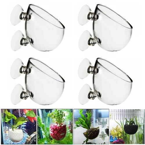 4 Stück Glas Cup Topf: Nizirioo Wasserpflanzentopf mit 8 x Saugnäpfe, Glas Cup Aquarium Pflanzenhalter, Glas Cup Topf Pflanz für Aquarienpflanzen, Aquarium deko Aquarium deko, Transparent von Nizirioo