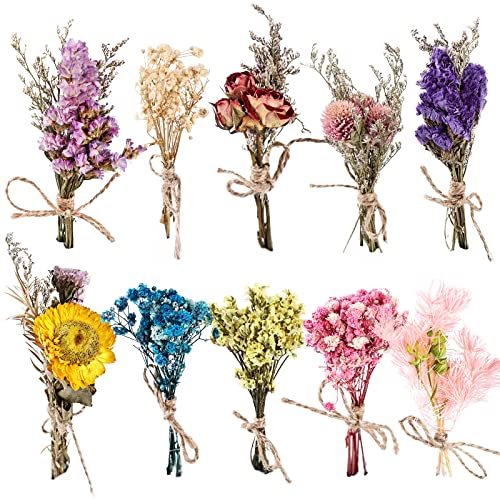 Getrocknete Blumenstrauss,10 Bündel Natürliche Getrocknete Blumen Gemischte, Trockenblumen Zum Basteln, Mini Getrocknete Blumenstrauß Bündel für Bilderrahmen Kunst DIY Harz Handwerk (A) von Nizirioo