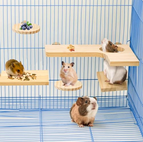 Nizirioo 5 Stück Hamster Zubehör Set: Holz Spielzeug, Naturholz Plattform Vogelsitzbrett, DIY Käfig Dekor für Meerschweinchen Chinchillas Rennmäuse von Nizirioo