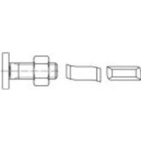 160389 Hammerkopfschrauben M6 25mm Stahl galvanisch verzinkt 100St. von No Name