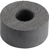 Y-10T Permanent-Magnet Ring (Ø x L) 15mm x 7mm BaFe 0.1 T von No Name