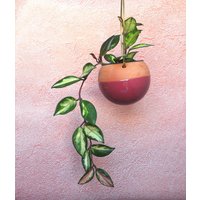 Terracotta Blumentopf | Übertopf Aus Keramik Indoor Outdoor Pflanzenaufhänger Terrakotta Topf von NoaRazerStudio