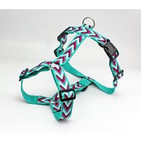 Hundegeschirr Mit Zick Zack Muster, Gurtband in Türkis, Brustgeschirr Für Hunde Hundegeschirr Mit Zick Zack Muster, Gurtband in Türkis, Brustgeschirr Für Hunde von NoahMeetsScottiePets