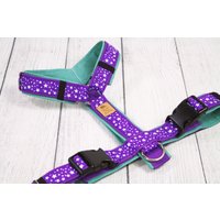 Hundegeschirr Stars'n'purple, Mit Kunstleder, Sterne, Lila Und Mint, Hunde, Brustgeschirr, Hundeleine, Haustiere, Welpe, Hundezubehör von NoahMeetsScottiePets