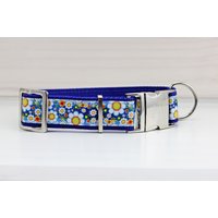 Hundehalsband Mit Blumen, Margeriten, Floral Und Modern, Gurtband in Blau von NoahMeetsScottiePets