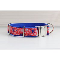 Hundehalsband Mit Blumen in Orange Rot, Floral, Modern, Gurtband Blau, Halsband von NoahMeetsScottiePets