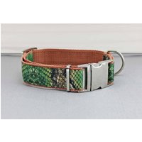 Hundehalsband Mit Schlangen Muster, Grün Und Hellgrün, Gurtband in Braun, Schlangenhaut, Bedruckt, Edel, Halsband, Hund, Haustier von NoahMeetsScottiePets