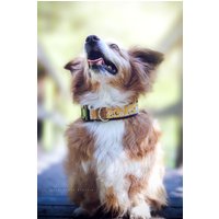 Hundehalsband Oder Hundegeschirr Amber - Senfgelb Mit Kirschblüten, Dunkelbraun, Bordeaux, Für Hunde, Frühling, Blütenmuster, Floral, Gelb von NoahMeetsScottiePets