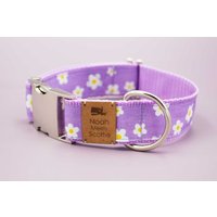 Hundehalsband Oder Hundegeschirr Mit Blumen, Gänseblümchen, Flieder, Lila, Geblümt, Floral, Violett, Hunde Halsband, Hundeleine von NoahMeetsScottiePets