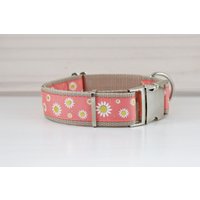 Hundehalsband Oder Hundegeschirr Mit Margeriten, Rosa, Beige, Apricot, Geblümt, Hunde, Hundeleine von NoahMeetsScottiePets