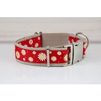 Hundehalsband Oder Hundegeschirr Mit Margeriten Blumen, Rot Und Beige, Leine von NoahMeetsScottiePets