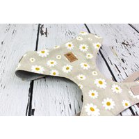 Softgeschirr Für Hunde Mit Margeriten, Blumen, Natur, Beige Und Weiß, Hunde, Hundegeschirr Softgeschirr Für Hunde Mit Margeriten, Blumen, Natur, Beige Und Weiß, Hunde, Hundegeschirr von NoahMeetsScottiePets