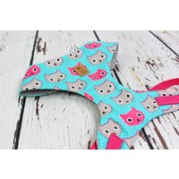 Softgeschirr Für Katzen Und Hunde, Katzen, Katzenprint, Mint Pink, Katzengeschirr von NoahMeetsScottiePets