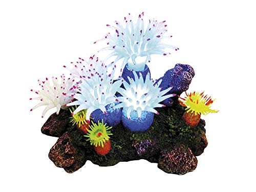 Nobby Aqua Ornaments APLYSINA mit Pflanzen, mit LED, 16,5 x 12,0 x 11,0 cm, 1 Stück von Nobby