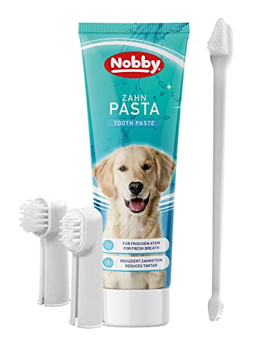 Nobby 74881 Zahnbürstenset mit Zahnpaste Mint von Nobby