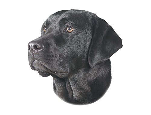 Nobby Aufkleber Labrador schwarz gelb 12 x 3,5 cm von Nobby