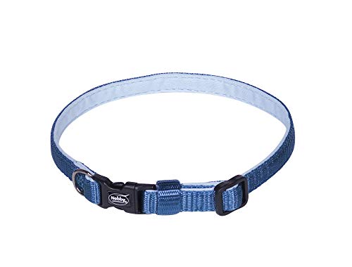 Nobby Halsband Classic Preno Mini, hell blau, L: 20-35 cm, B: 10 mm, 1 Stück von Nobby