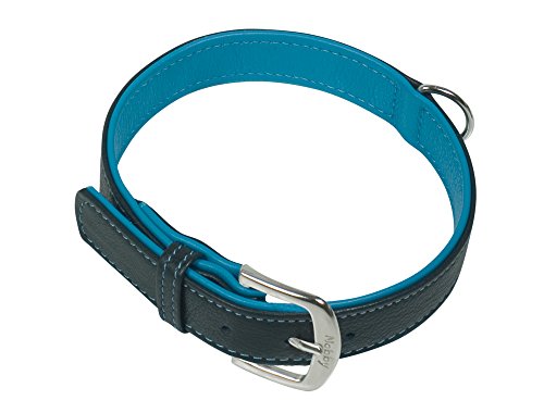 Nobby Halsband PACIFIC, türkis 52 cm (41-49 cm), 25/28 mm, 1 Stück von Nobby