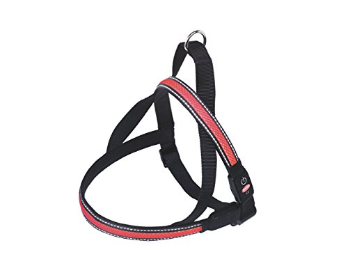 Nobby Norwegergeschirr Flash MESH, rot M: L: 60-75 cm + 52 cm, B: 25 mm, 1 Stück von Nobby