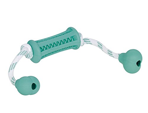 Nobby 60472 Vollgummi Stick mit Seil DENTAL Fun, zweifarbig von Nobby