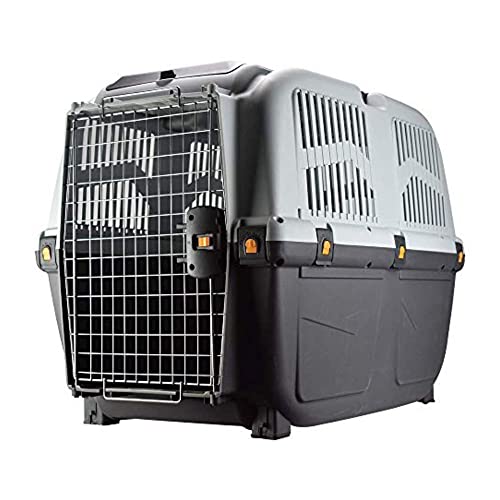 Transportbox "Skudo 6 IATA" grau L x B x H: 92 x 63 x 70 Transportbox "Skudo 6 IATA" grau L x B x H: 92 x 63 x 70 von Arquivet