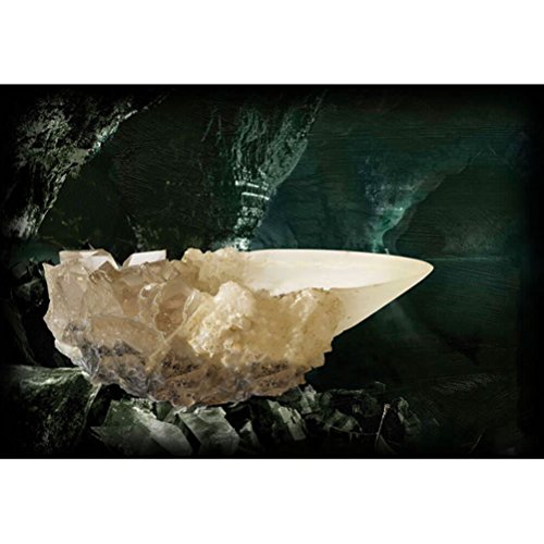 The Noble Collection France Noble Collection Der Kristallbecher aus der Höhle, NN1009, Weiß The Noble Collection France Noble Collection Der Kristallbecher aus der Höhle, NN1009, Weiß von The Noble Collection