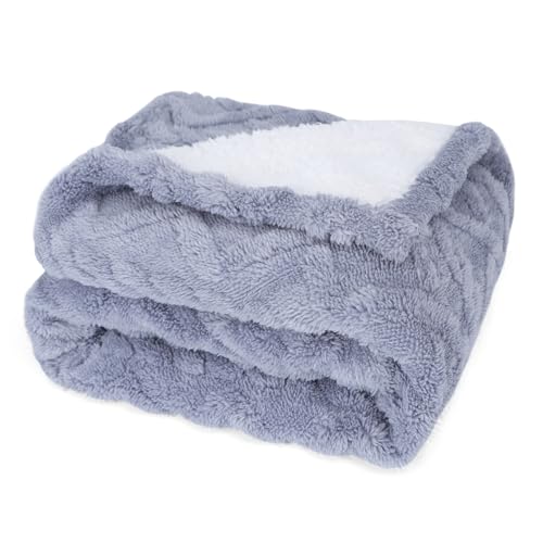 Nobleza wasserdicht hundedecke flauschig Weiche Haustier Decke für mittelgroße und große Hunde, Katzen Decke XL 152 x 127 cm, beidseitig verwendbar, Hundesofa Schutzdecke, Hellblau von Nobleza