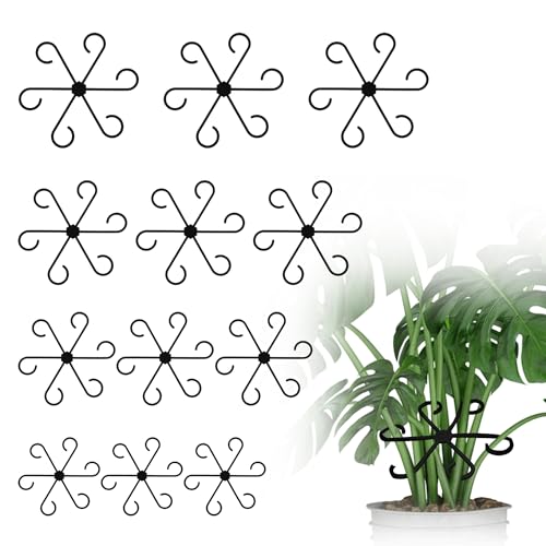 Noenaeni 12 Stück Pflanzenstielstütze, wiederverwendbare Kunststoff-Pflanzenstielhalter, schwarze Stielhalter für Pflanzen, Kletterpflanzen, Stängel, Stützen für drinnen und draußen, verschiedene von Noenaeni