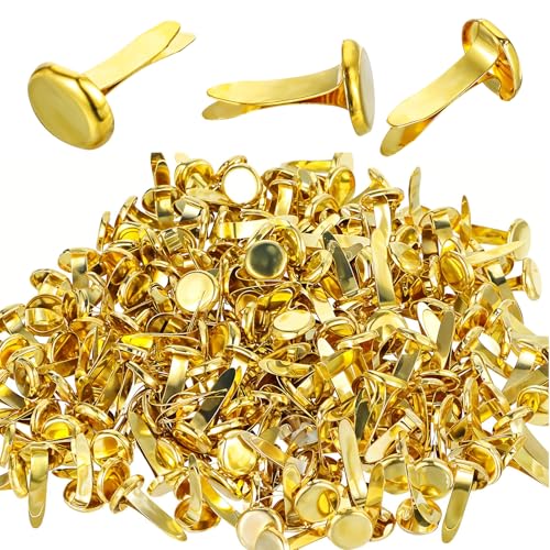 Nogeqi 200 Stück Gold Musterbeutelklammern, Metall Musterklammern Rundkopfklammern, Musterklammer Musterbeutelklammer Briefklammern Für Scrapbooking, DIY Bastelprojekte, Fotoalben Nogeqi 200 Stück Gold Musterbeutelklammern, Metall Musterklammern Rundkopfklammern, Musterklammer Musterbeutelklammer Briefklammern Für Scrapbooking, DIY Bastelprojekte, Fotoalben von Nogeqi