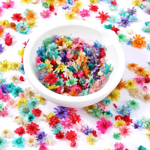 Nogeqi 420 Stück Trockenblumen Klein zum Basteln, Mini Getrocknete Blumen Kunstblumen Blüten Gepresste für DIY Harzarbeiten, Nageldesign, Scrapbooking Farbenfrohe in 3 Größen Nogeqi 420 Stück Trockenblumen Klein zum Basteln, Mini Getrocknete Blumen Kunstblumen Blüten Gepresste für DIY Harzarbeiten, Nageldesign, Scrapbooking Farbenfrohe in 3 Größen von Nogeqi