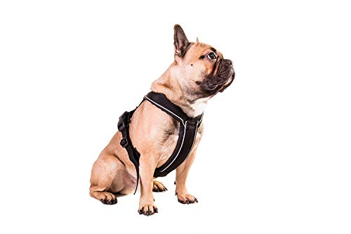 Non-Stop Dogwear Line Hundegeschirr, gepolstert/verstellbar, Größe 3, schwarz, für Hunde, 1 Pack von Non-stop dogwear