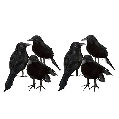 Shiwaki 6 X Halloween Deko-Krähe Künstliche Rabe Krähe Mit Federn Schwarz Vogel Shiwaki 6 X Halloween Deko-Krähe Künstliche Rabe Krähe Mit Federn Schwarz Vogel von Shiwaki
