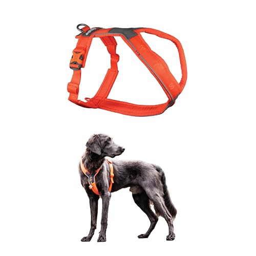 Non-stop dogwear Line Harness 5.0 |218| Führ und Alltagsgeschirr in orange, Größe:G 6 von Non-stop dogwear