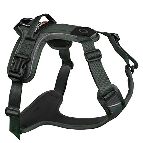 Non-stop dogwear Ramble Harness |Green| Führ und Alltagsgeschirr, Größe:L von Non-stop dogwear