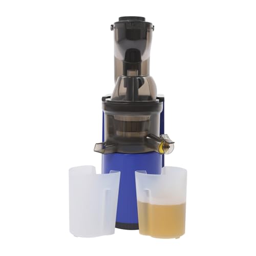 Entsafter Gemüse und Obst Slow Juicer, Max 800W Juicer Machine aus ABS Zentrifugal-Entsafter mit Praktischer Lebensmittel-Schieber, Geräumige Einfüllöffnung ideal für Obst und Gemüse (Blau) von NoneDanGee