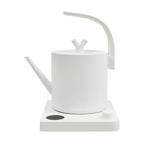 Wasserkocher mit Schwanenhals Edelstahl 1L, Teekocher Elektrisch, Wasserkocher mit Temperatureinstellung und Warmhaltung, Schnelles Aufkochen (Weiß) von NoneDanGee