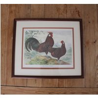 Antiker Huhn-Druck Im Rahmen, Lithografie-Bild, Bauernhof-Tier-Dekoration von NookandFlea