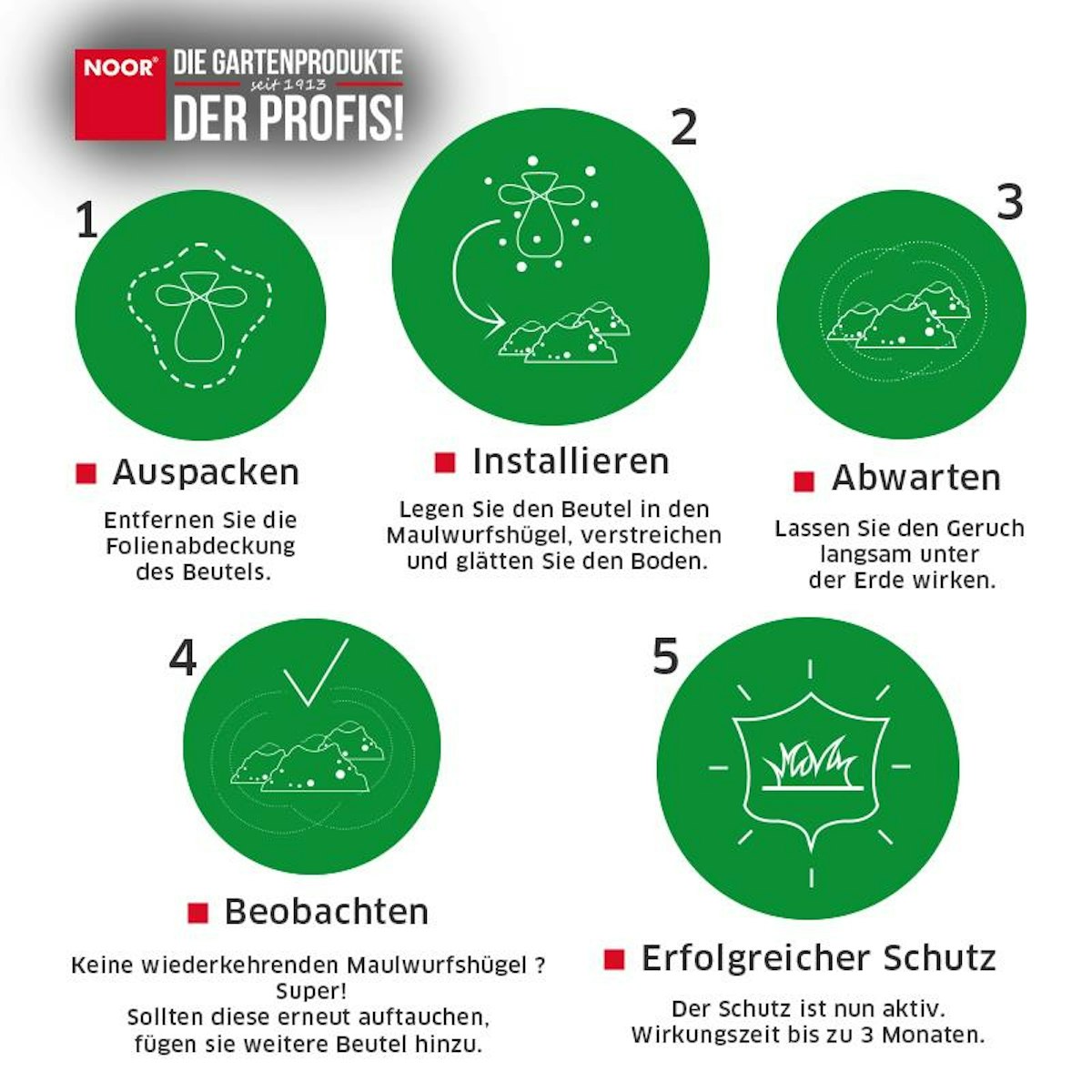 NOOR Kunagone Maulwurfabwehr  2er Pack von Noor