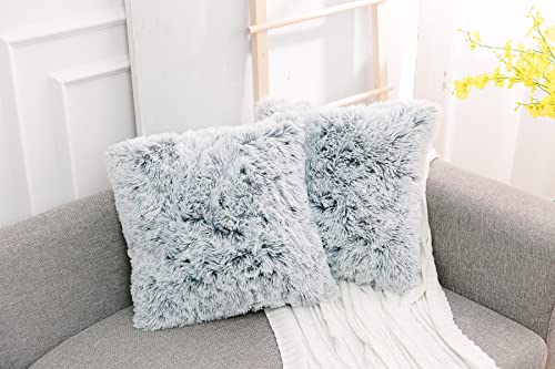 NordECO HOME 2er Set kissenbezüge Kissen Künstlich Pelz Fellkissen Dekorative Deko Kissen Kuschelkissen Flauschig Sofakissen Weich Plüschkissen für Sofa (40x40cm, Grau Ombre) von NordECO HOME