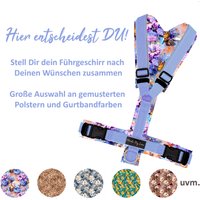 Führgeschirr/Hundegeschirr Geschirr Hund Gepolstert Verstellbar Neue Polsterstoffe Auch Mit Halsband Und/Oder Leine Im Set von NordicDogLove