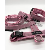 Führgeschirr/Hundegeschirr Geschirr Hund Gepolstert Verstellbar Neue Polsterstoffe Auch Mit Halsband Und/Oder Leine Im Set von NordicDogLove